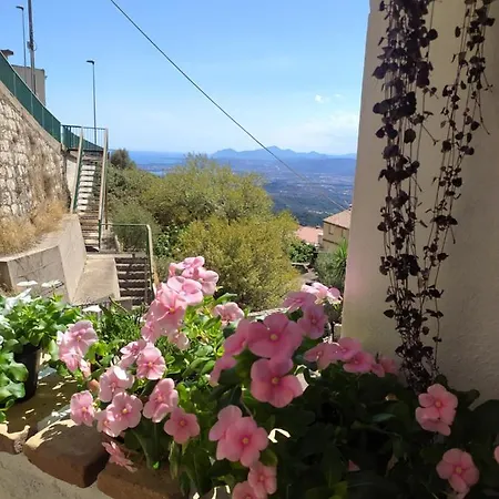 Steddueoro באוני