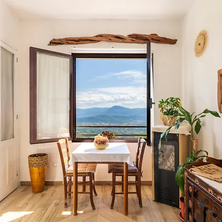 Steddueoro באוני